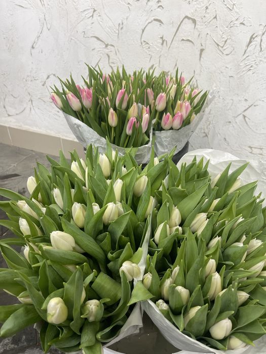 Букет 51 тюльпан 30тысяч