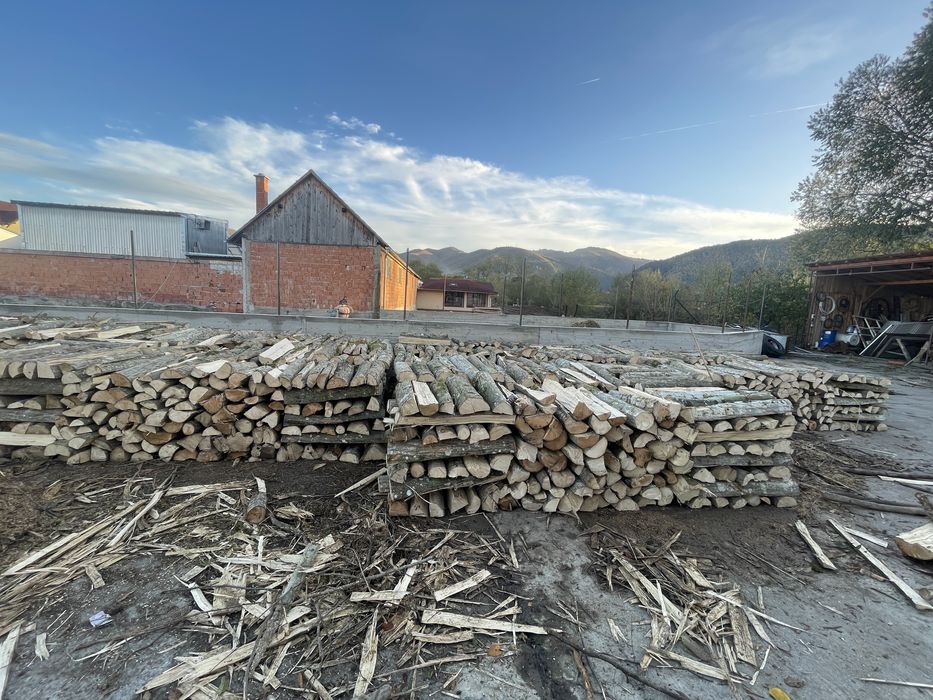 Lemn de foc, esenta fag