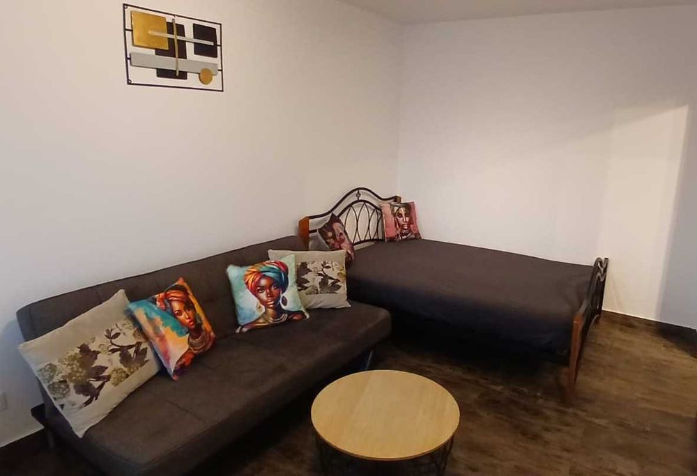 Inchiriez Apartament 1 camera (Proprietar), Amenajata - Premium, Arad- Cartier Micalaca, zona: Miorita-Abrud