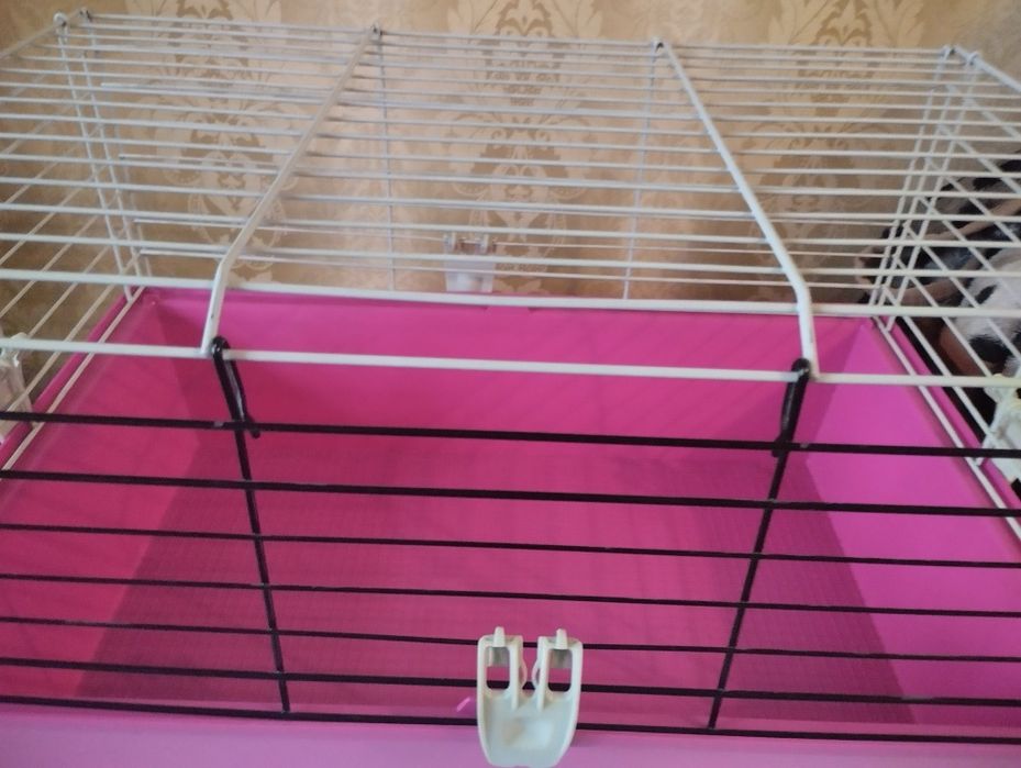 Клетка для морских свинок