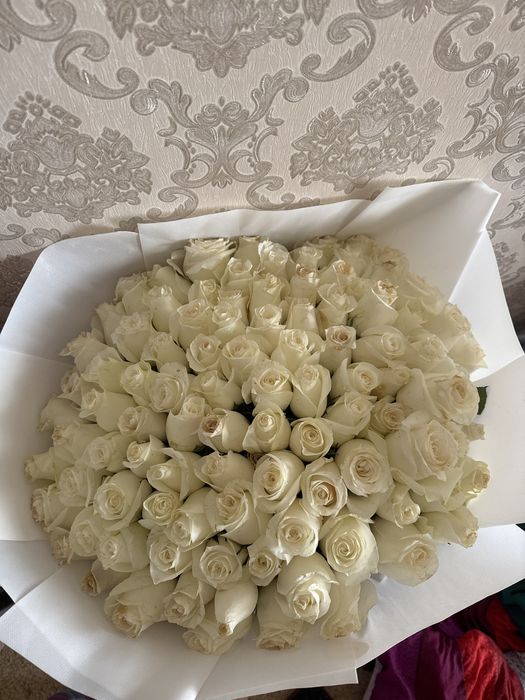 срочно продам цветы белые