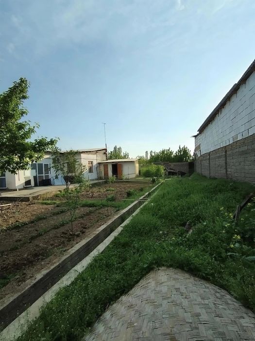 UY SOTILADI. Zangata tumanida. 6 SOTIK