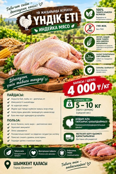 Мясо молодых домашних индеек, жас күркетауық еті