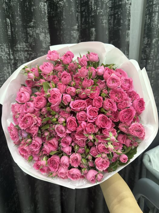 Цветы красивые продам срочно