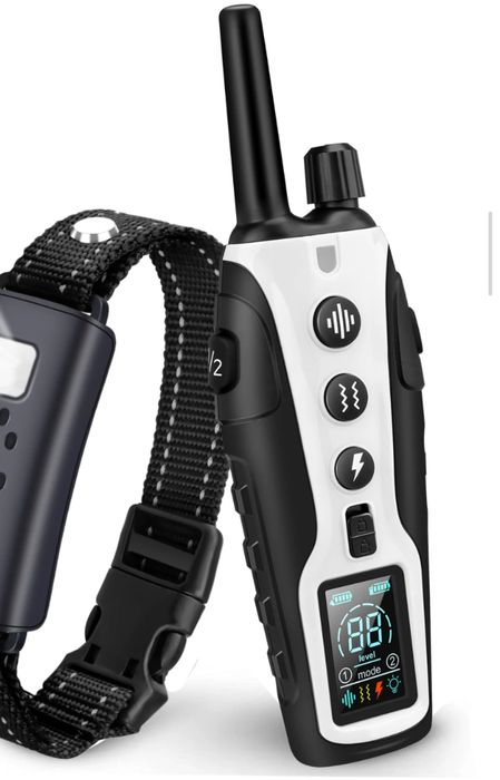 Ошейник для дрессировки собак