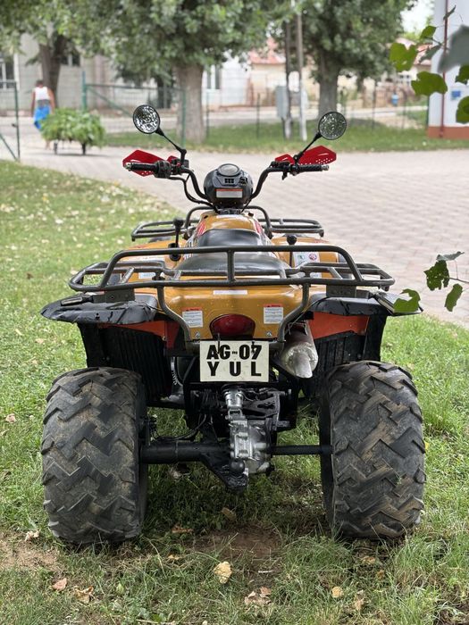 Vand Linhai 300 4x4