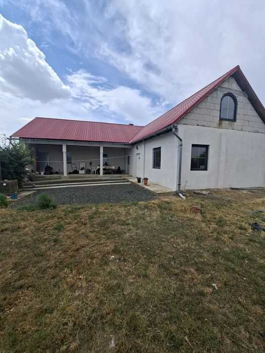 Casa de vinzare in Firiteaz