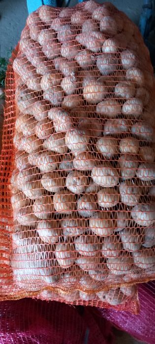 Cartofi pentru animale