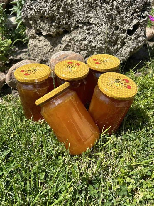 Предлагам Натурален пчелен Мед