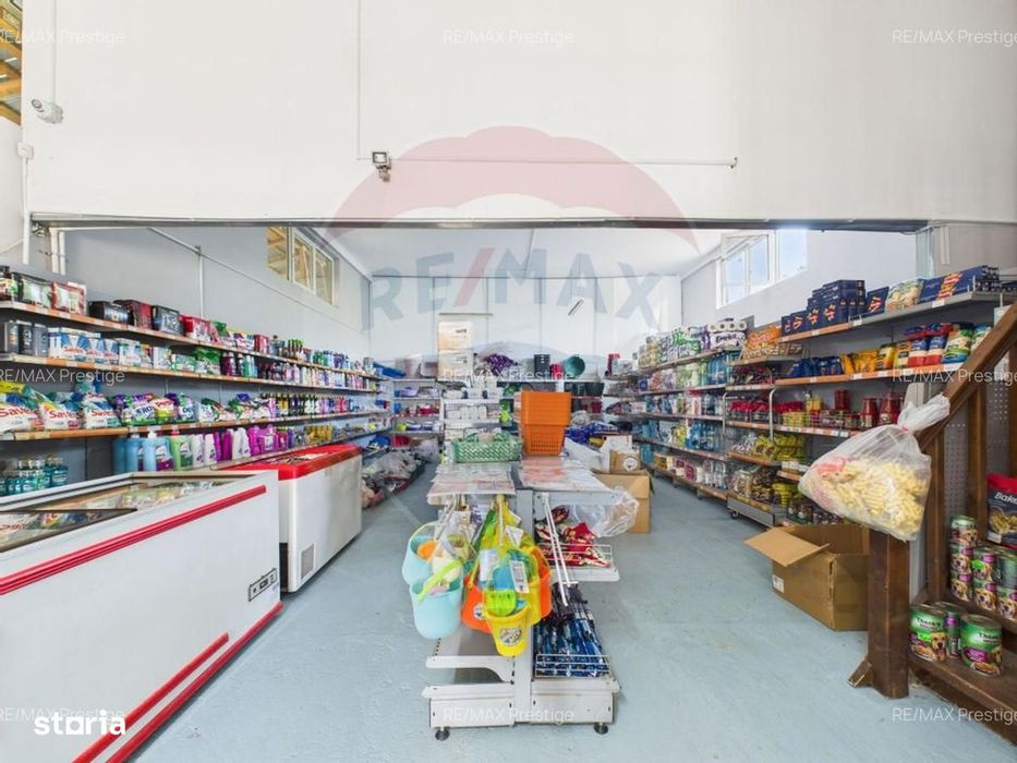 Magazin Mixt / Hală Depozitare / Producție / Comerț + Casă