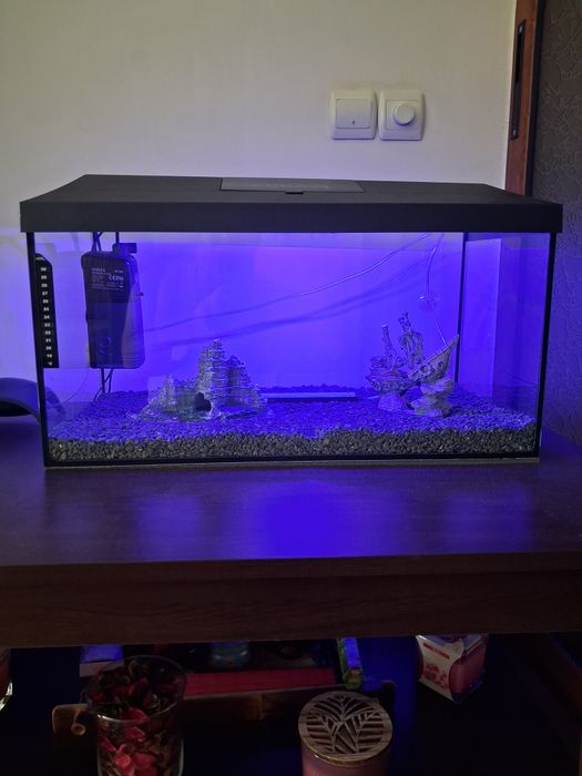 Vând acvariu  AQUAEL pești complet