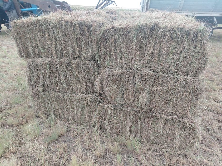 Продаю сено в тюках