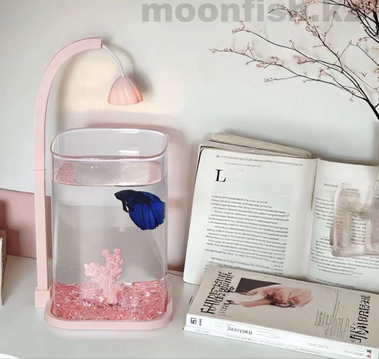 Аквариум + декор + рыба+корм