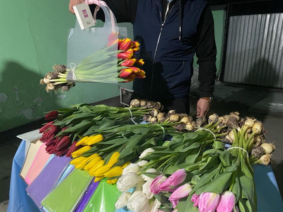 Тюльпаны оптом и в розницу