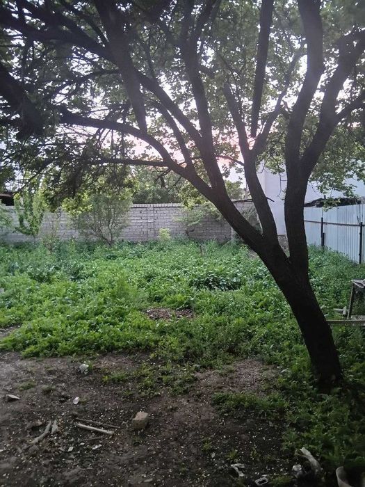 Дом в Сырдарье продается