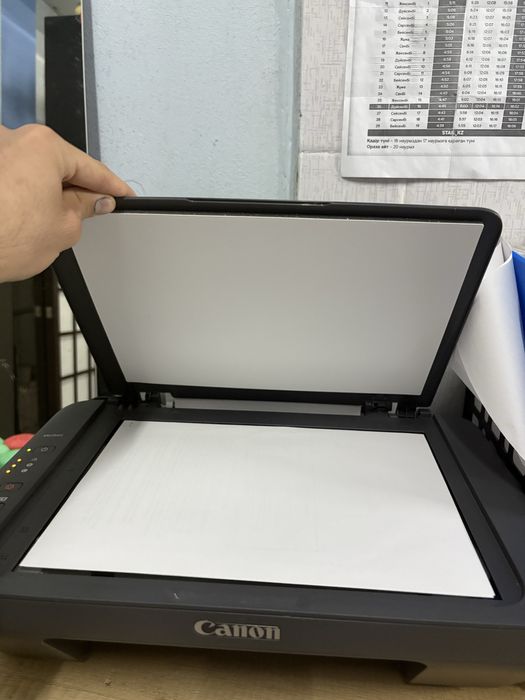 Принтер Canon Pixma MG2541S