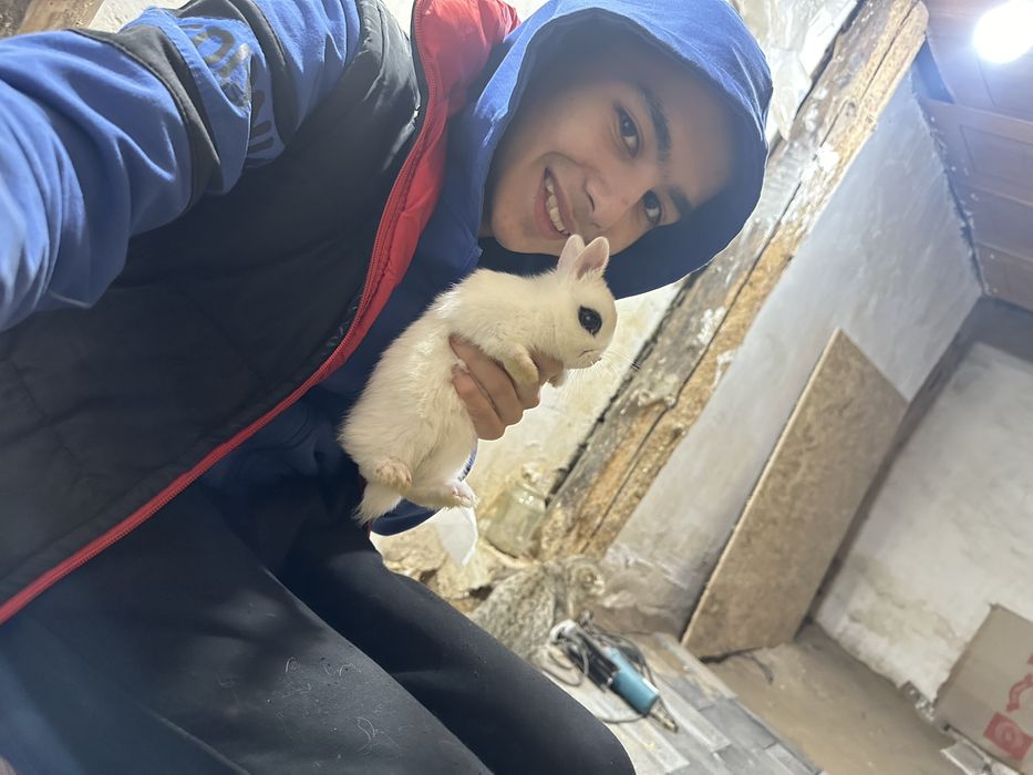 Uyingizga tirik iliqlik kiradi