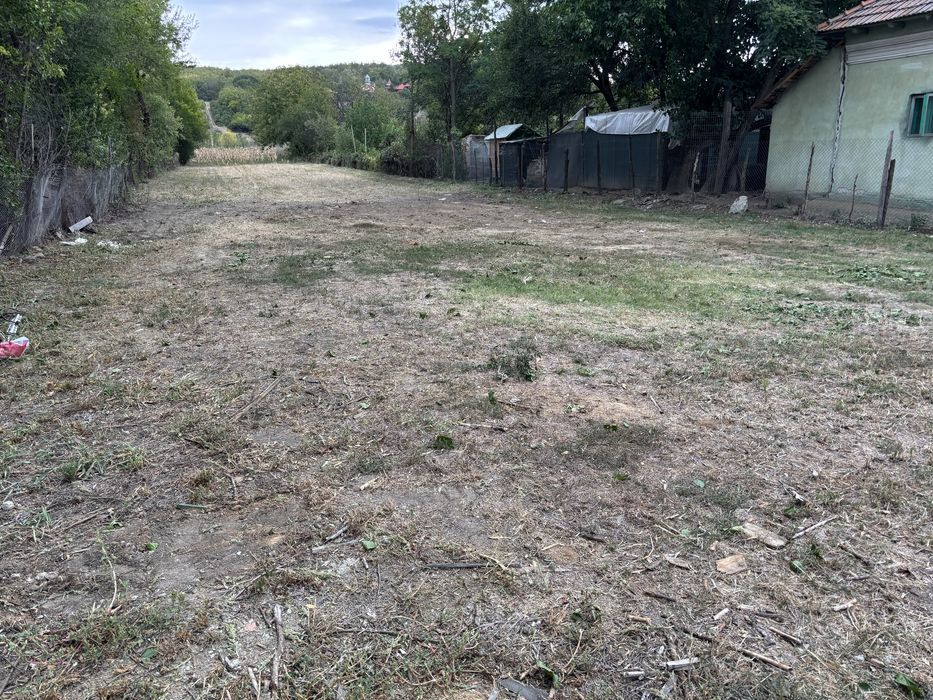 Vand teren  in Curtisoara