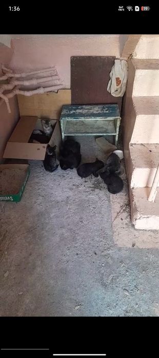 Нашли очаровательных малышей