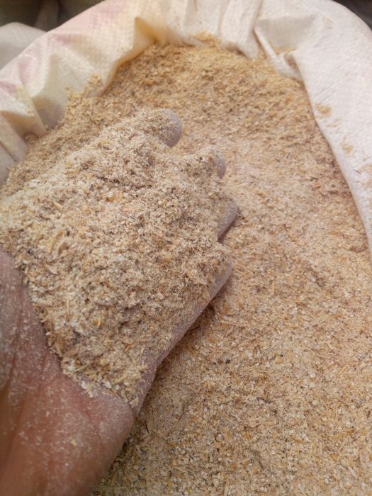 Ячмень Дробленый ОПТОМ