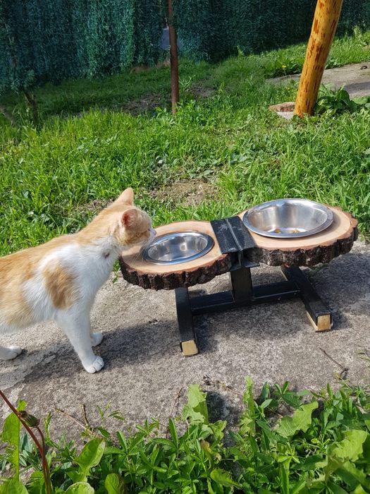 Balansoar Hinta leagan de gradina, REDUCERE