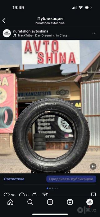 minerva shina abalon