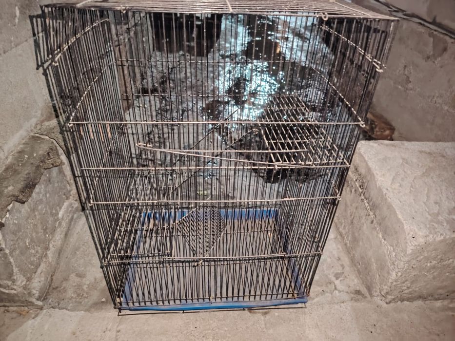 Клетка продам срочно!