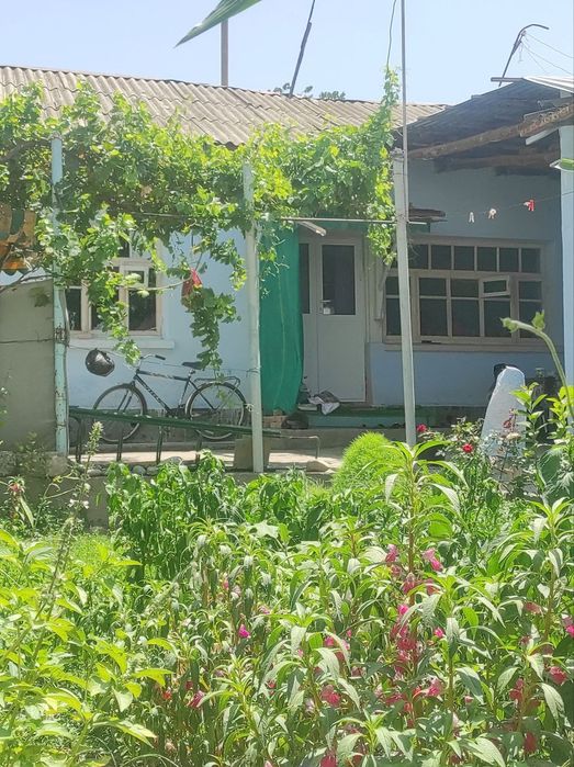 Bulungurda xovli sotiladi