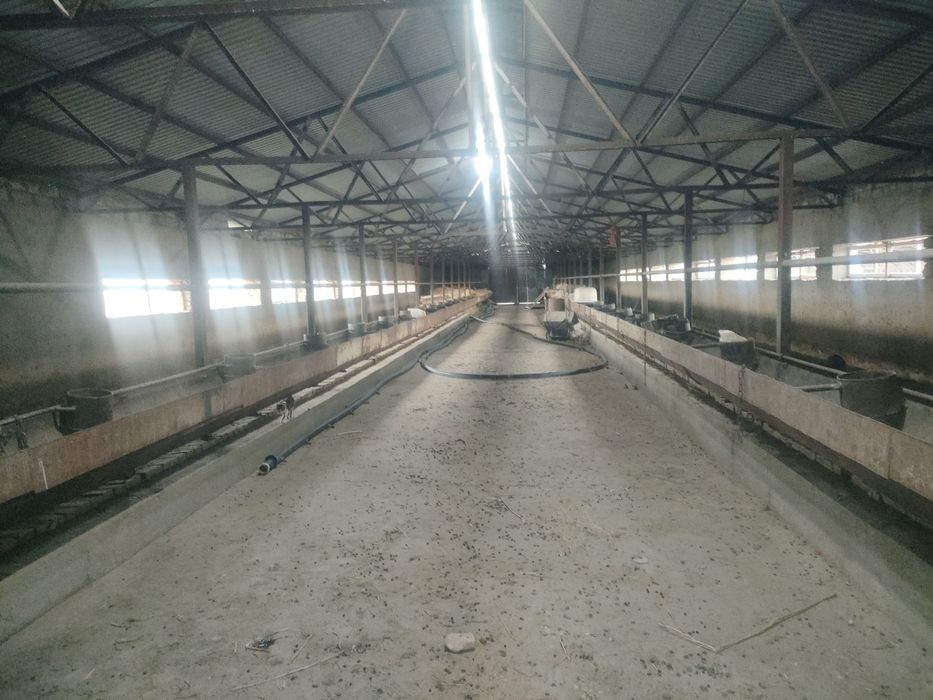 Фазенда с земельнцм участком