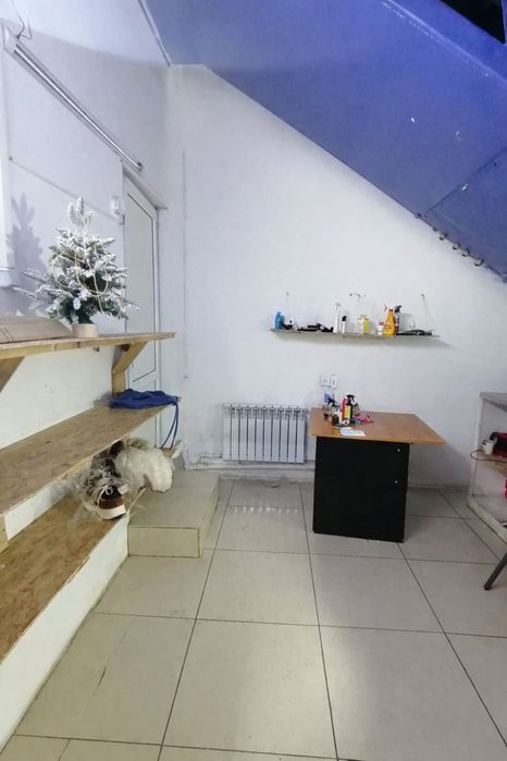 Продам химчистку обуви