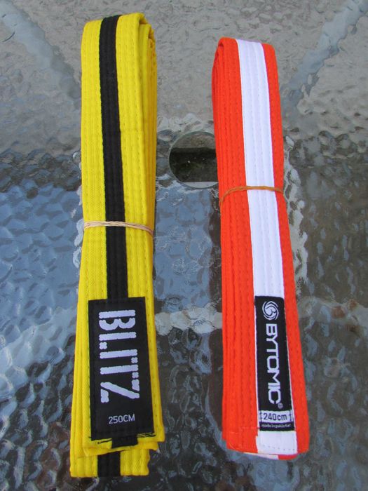 Екипировка за карате - кик бокс Pro Champ - FMA