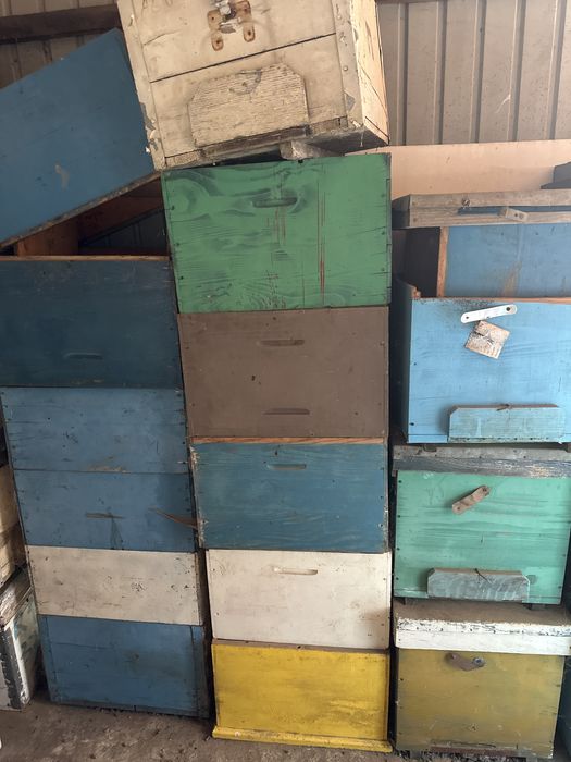 Lazi albine, cu cat 1/1, folosite 1 an