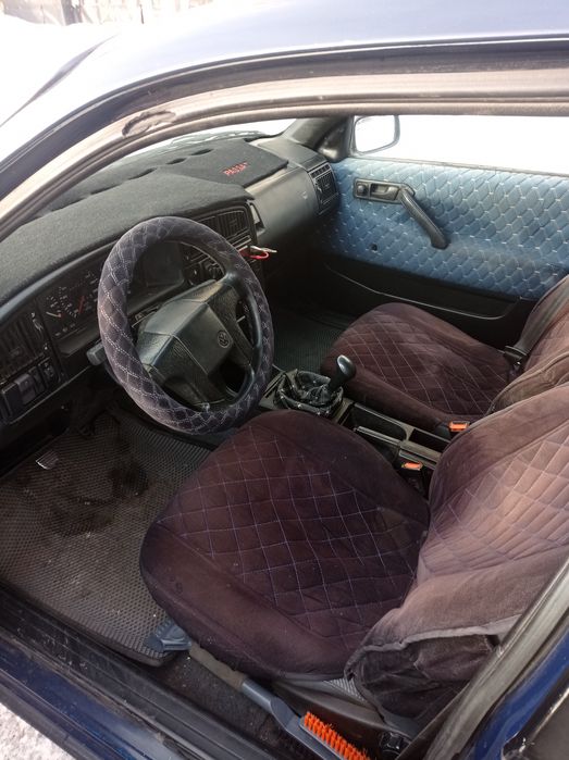 Прдам живого пассата