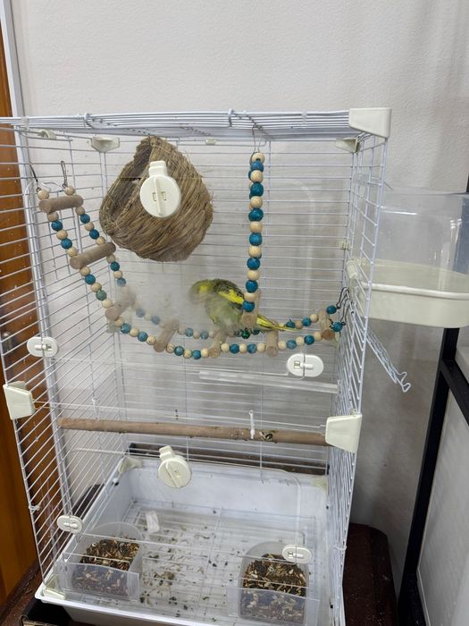 Продам  клетку для попугая и с кормом новая