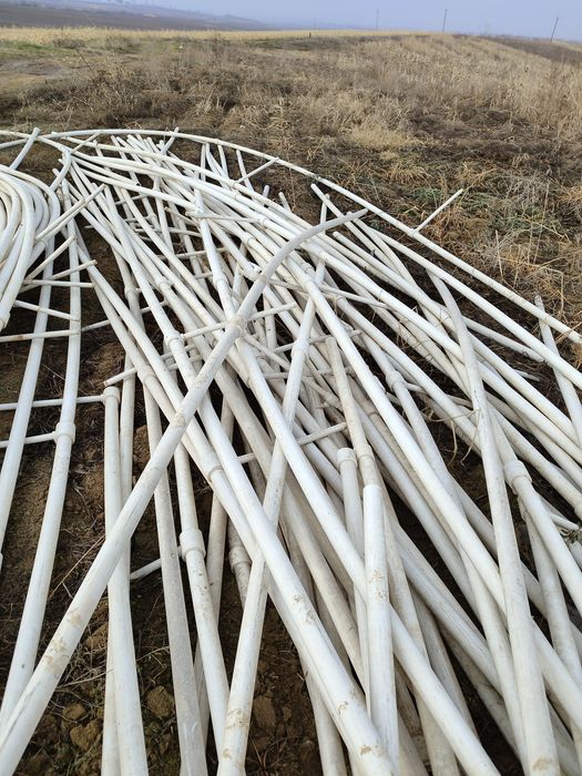 Shlanka 50 li yahshi