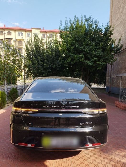 Byd chazor 2024 55 км