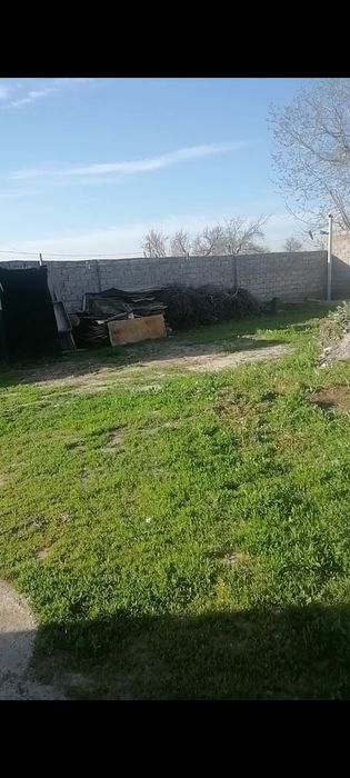 Dacha sotiladi 6 sotix srochna