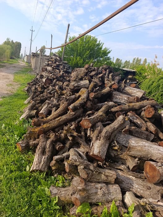 Oʻtin sotiladi. 2 isuzilar chiqadi. Toshkent viloyati Quyi Chirchiq