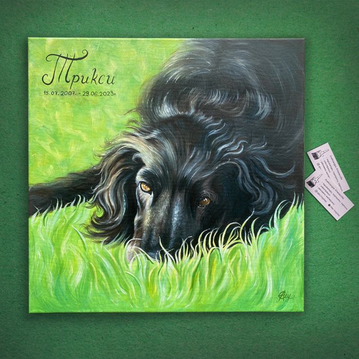 Портрети на домашни любимци