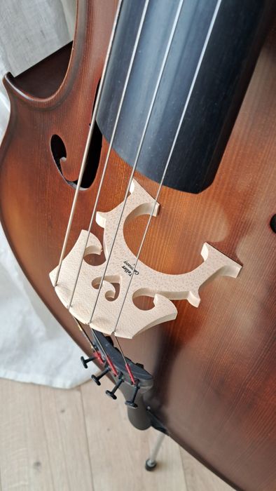 Violoncel 4/4 Reghin