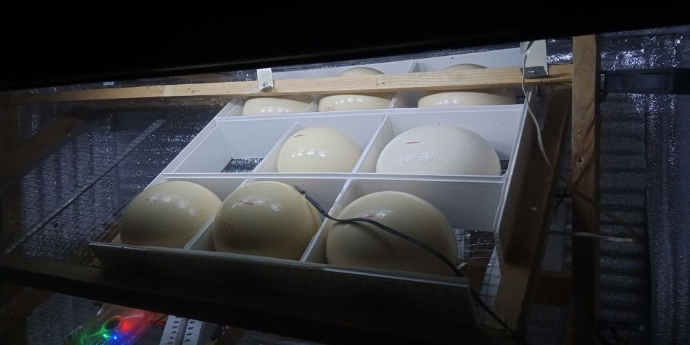 Продам Инкубатор 1056 талик