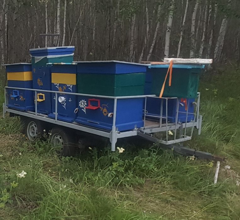 Прицеп для пчёл.