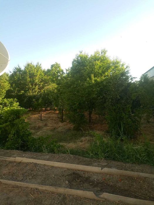 Дом + Земля участок