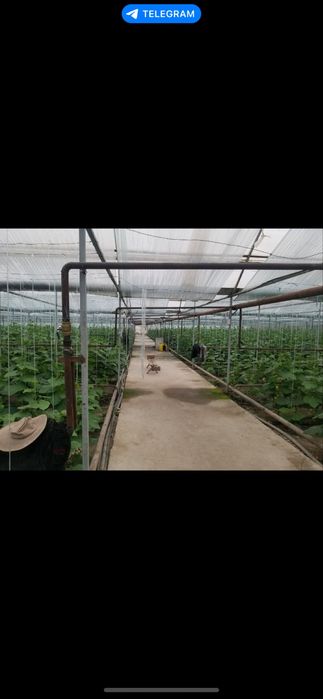 Продается участок под бизнес 55 соток