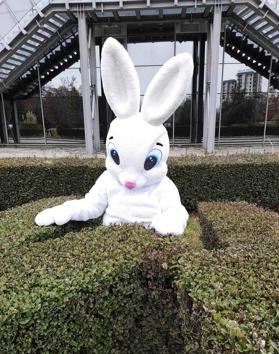 Costum Mascotă Iepure Alb de Paște – Profesional pentru Evenimente