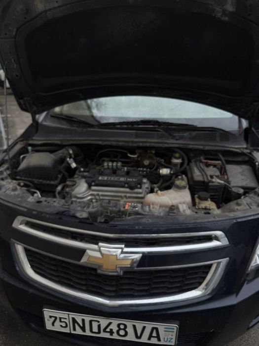 Kobilt sotiladi srochna