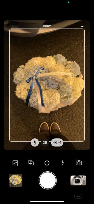 Гортензия 15шт свежий