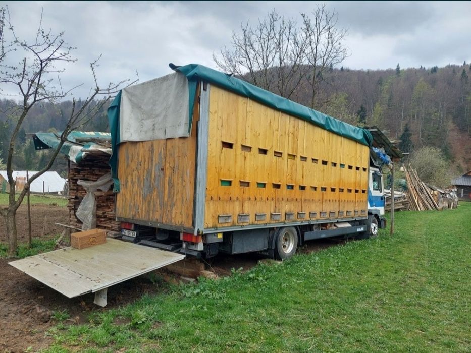 Vând camion apicol