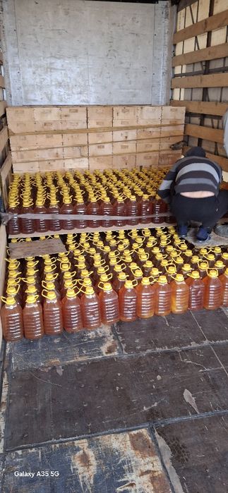 Пчелосемя и пакеты