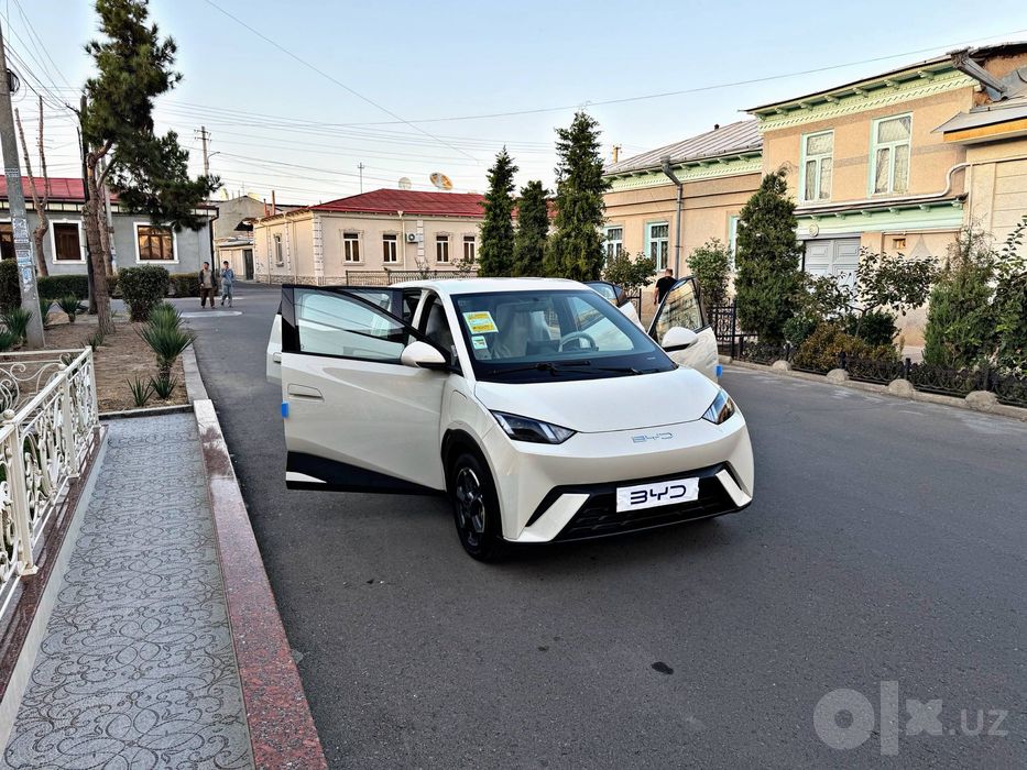 BYD SEAGULL 405Km 100% Топтоза 2024 Состаяние Йенгиде